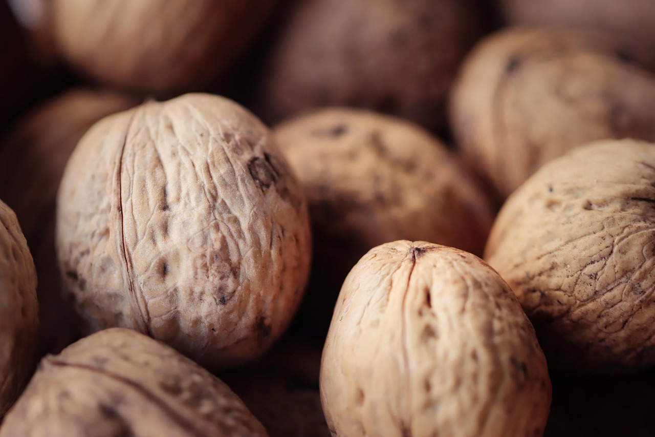 The Connection between Smoking and Lung Disease