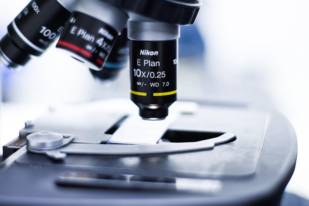 UDP攻击|乐山美食购买平台