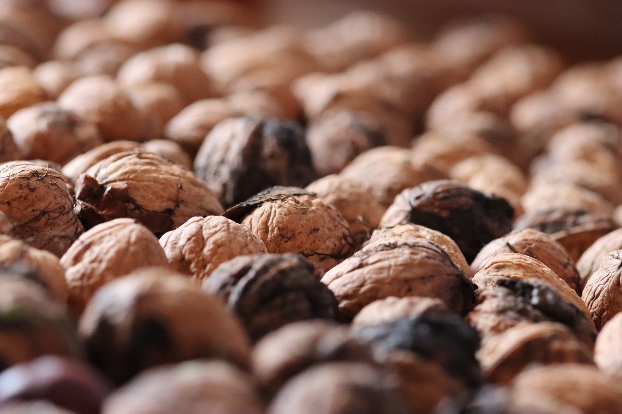 在线DDOS压力测试网页端|小视频打赏平台招代理