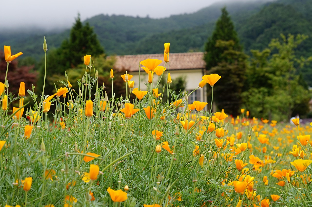 欧易交易所app详情下载教程