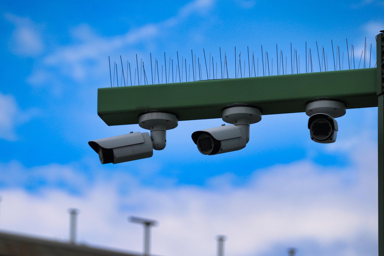 宝塔实名账号：上海电视app详情下载教程